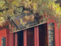 -洛阳白马寺