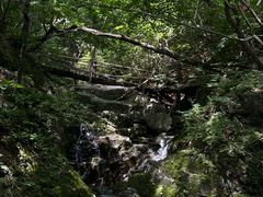 -本溪汤沟绿石谷森林公园