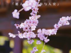 -三里河公园