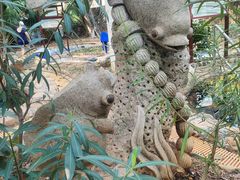 -三亚海棠湾南田温泉神龙谷