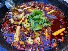 -蛙鱼潭美蛙鱼头火锅(解放碑瑞富广场店)