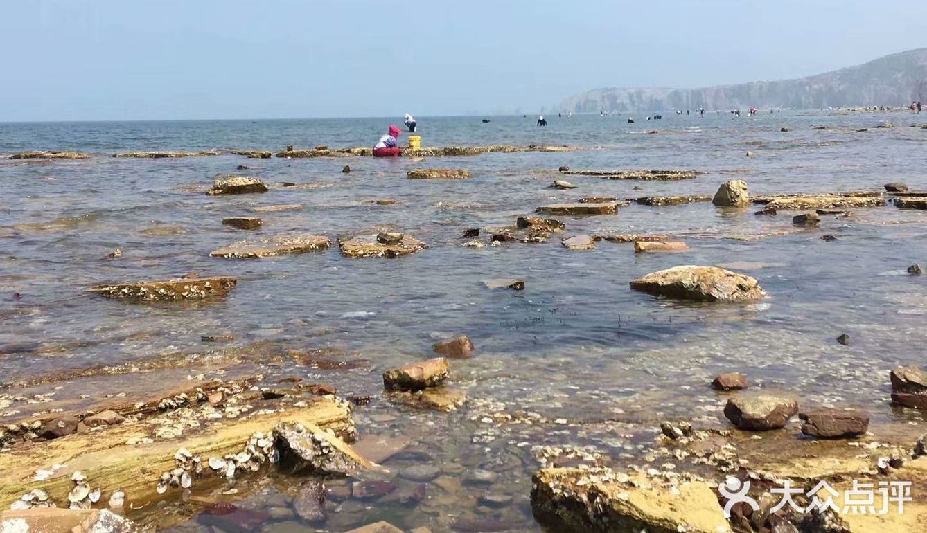 瓦房店大排石赶海