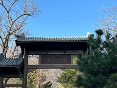 -阳台山自然风景区