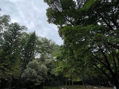 -华南师范大学(广州大学城校区)