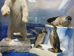 -国家自然博物馆