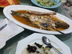 -老山东·山东菜(鲁菜名店)