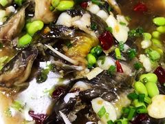 -呼吸森林·生态农庄农家乐私房菜