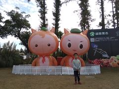 -上海长兴岛郊野公园