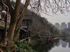 -重庆彩云湖湿地公园