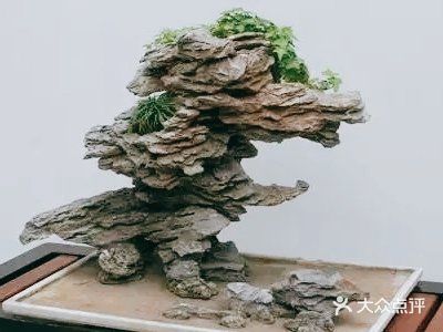山石盆景如何安全度夏？