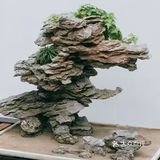 山石盆景如何安全度夏？