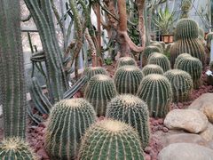 -郑州植物园