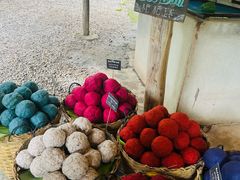 -大象粑粑造纸公园