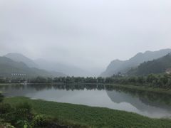 -后柳水乡