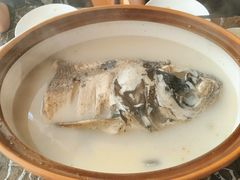 砂锅鱼头-风味小馆(天目湖宾馆店)