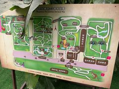 -呀路古热带植物园