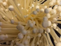 -牛品福潮汕牛肉火锅(旺庄店)