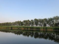 -白洋淀锅里口灶台鱼