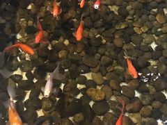 -上海怡沁园度假酒店