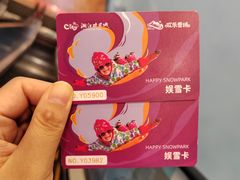 -湘江欢乐城欢乐雪域
