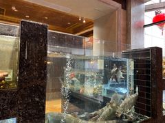 -许家菜(望江店)