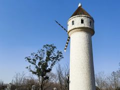 -东平国家森林公园