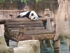 -泉州海丝野生动物世界