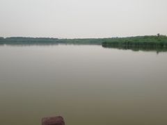 -西青郊野公园