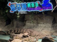 -重庆欢乐海底世界