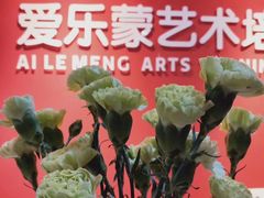 -爱乐蒙艺术·古筝 钢琴 声乐(科华校区)