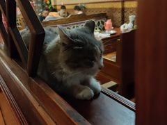 -嘎咓讓咘藏餐厅(团结新村店)