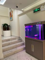 -海涛医疗美容·面部抗衰·注射美鼻