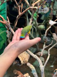 -Zoolung Zoolung动物主题公园(海信广场店)