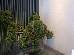 -上足·影院足道·SPA(红岭店)