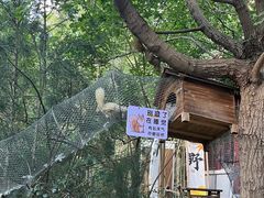 -佛慧山