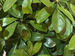 -足来足往养生会所