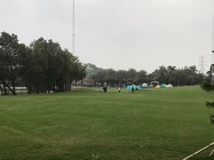 -迪茵湖田家舍生态农场