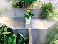 -沃尔玛(星湖商业城店)