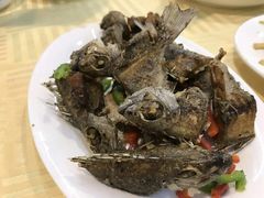 椒盐你猛-蛇口康乐快餐鱼仔档(翠苑小区店)