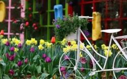 -茶发Salon·烫发染发理发