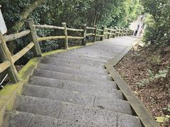-海口火山口国家地质公园