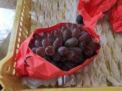 -马陆小张葡萄园农家乐