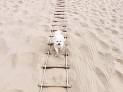 -库伦旗银沙湾旅游景区