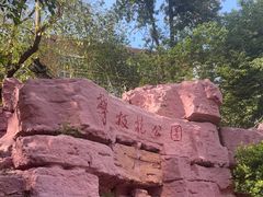 -攀枝花公园
