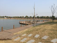 -明珠湖天鹅苑·农家菜馆