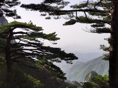 -黄山风景区