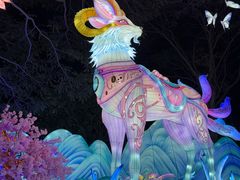 -厦门园林博览苑