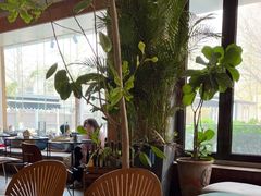 -the rug 飞毯 (朝阳公园店)