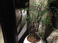 -元生咖啡(陶溪川店)