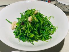 辣木苗鲜桃仁-悦融琥珀·京鲁菜·海味珍品(西单店)